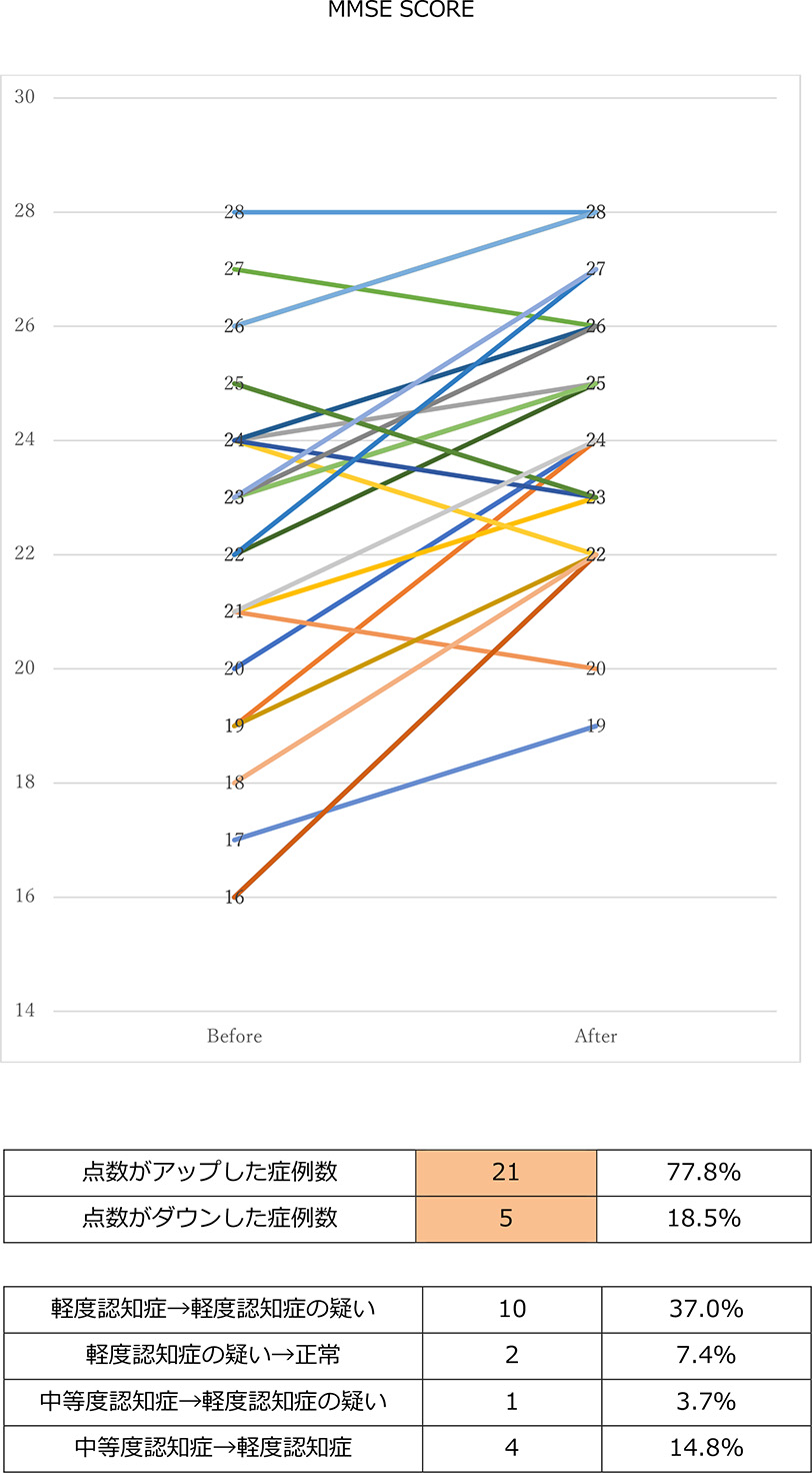 MMSE SCORE